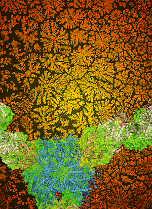 FractalsNature Chemistry Cover nv 1