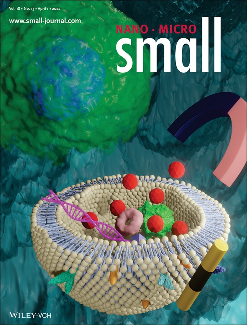 KiBum Article Magnetic Nanomaterials