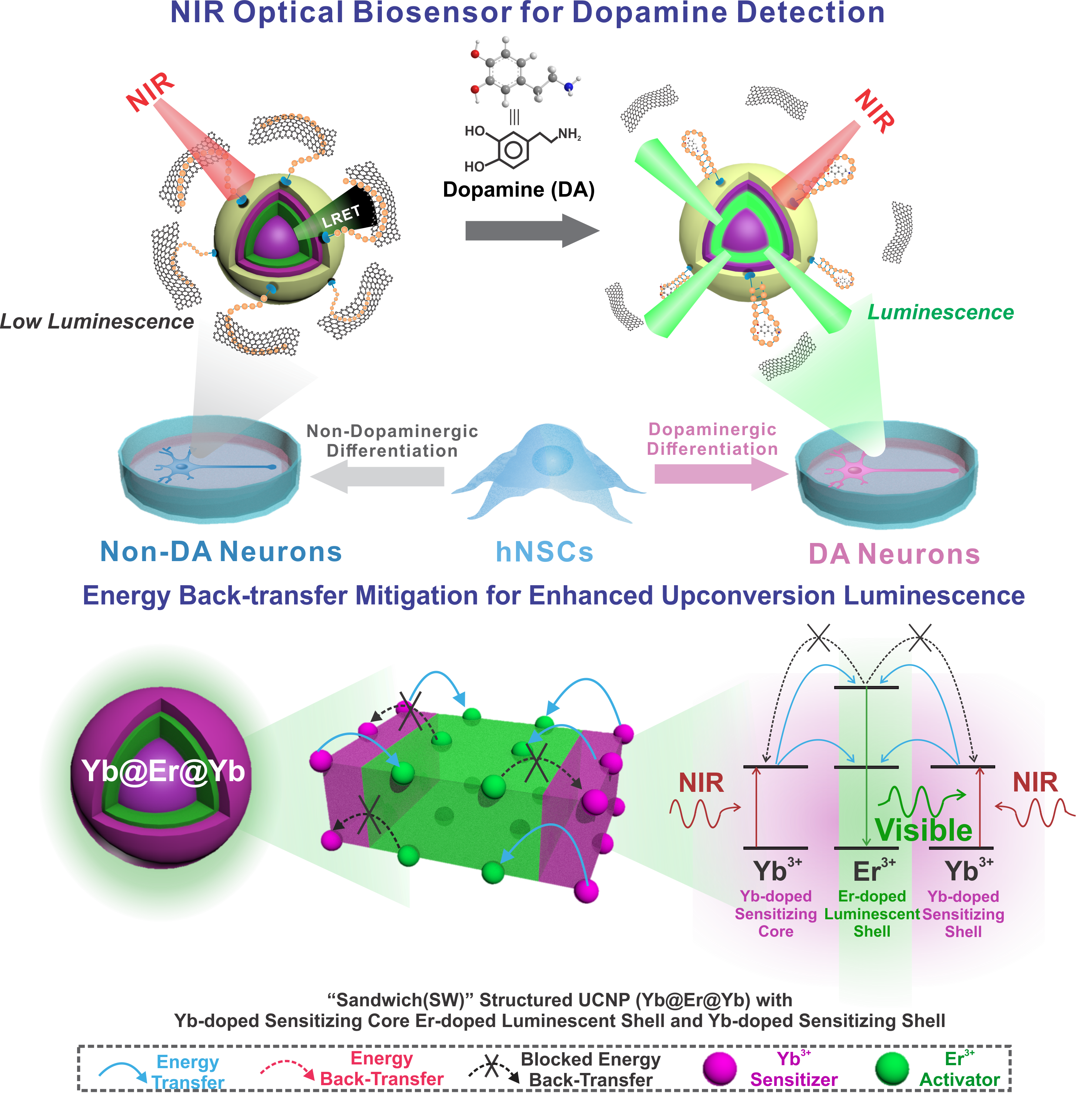 KiBum Article Pic NIR Optical Biosensor for Dopamine Detection