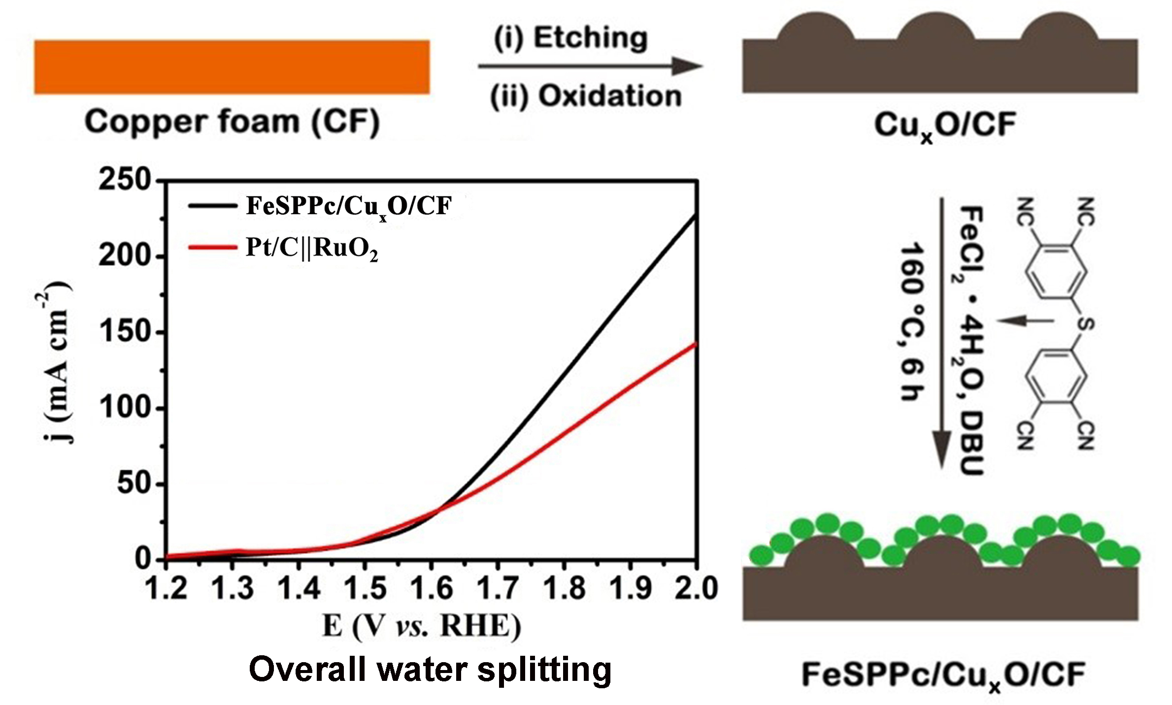 SustainEnergyFuels