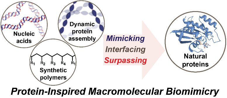 Yuwei Gu Research Page