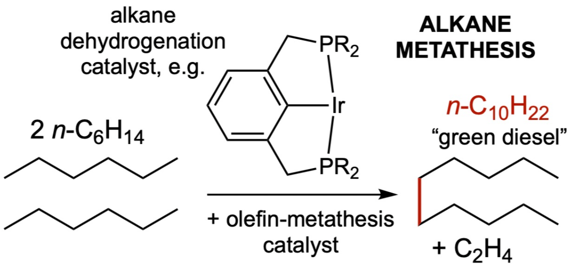 alkane metathesis