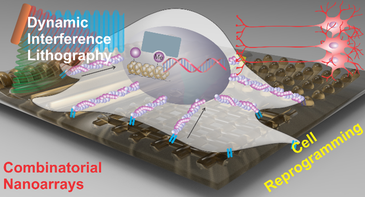 KiBum Article Dynamic Interference Lithography.png2